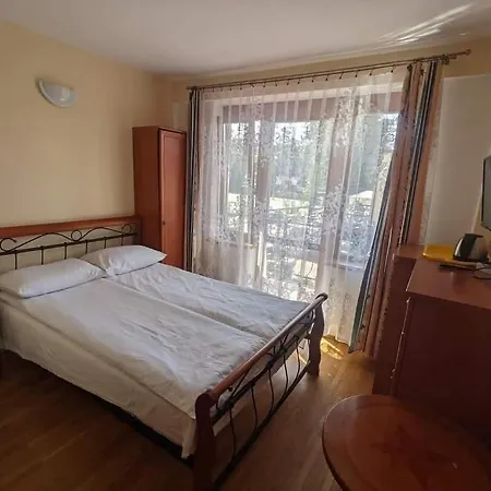 ゲストハウス Goscinne Vip 3*