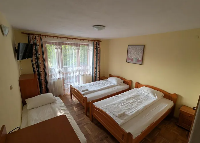 Goscinne Vip 3* Янтар